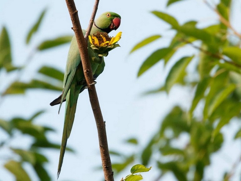 How to Reduce Marketing